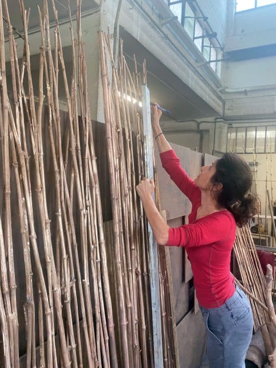 bamboo collection